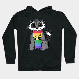 RAINBOW RACCOON Hoodie